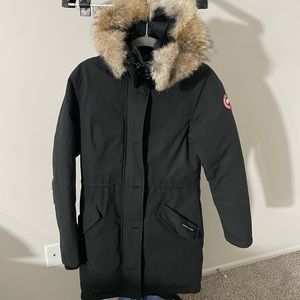 Canada goose black